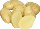 Salátové brambory