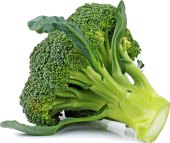 Brokolice Albert