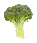 Brokolice Albert