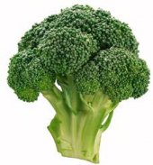 Brokolice bio