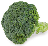Brokolice Metro Chef