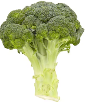 Brokolice Tesco