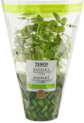 Bylinky v květináči Tesco