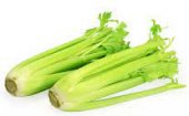 Celer řapíkatý Albert