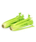 Celer řapíkatý Albert