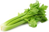 Celer řapíkatý bio