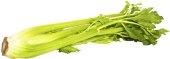 Celer řapíkatý bio Nature's Promise