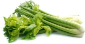 Celer řapíkatý K-Jarmark