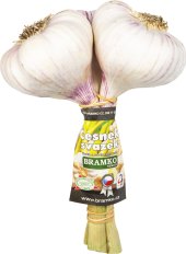 Česnek čerstvý Bramko