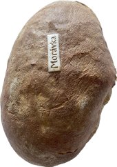 Chléb Morávka