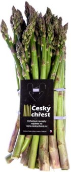 Chřest zelený Český chřest