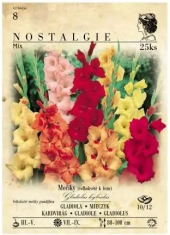 Cibulky květin - cibuloviny Nostalgie