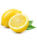 Citrony bio