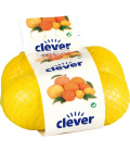 Citrony Clever