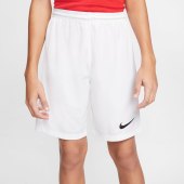 Dětské tréninkové fotbalové kraťasy Nike