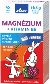 Doplněk stravy pro děti Magnézium+B6 Vitar