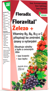 Doplněk stravy sirup Floravital Železo+ Salus