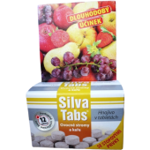 Hnojivo tablety na ovocné stromy Silva tabs