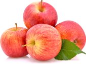 Jablka Gala Bohemia Apple