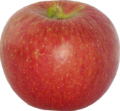 Jablka Topaz