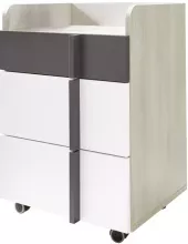 Kontejner Remo