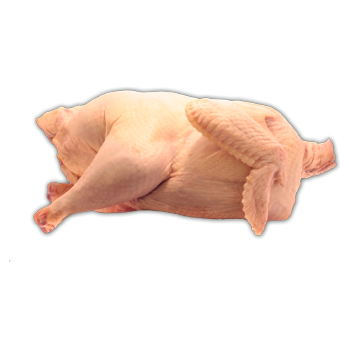 Krůta levně Kupi.cz