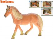 Kůň Zoolandia