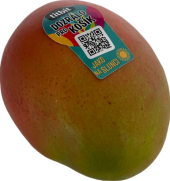 Mango Titbit