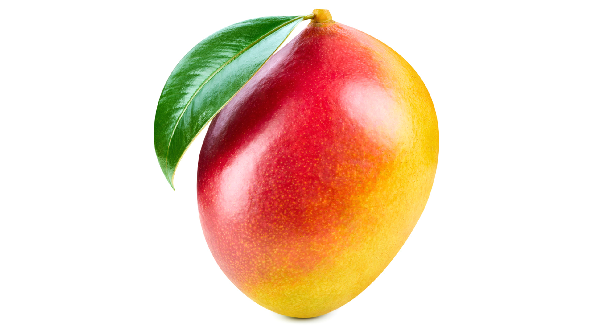 Mango v akci levně | Kupi.cz