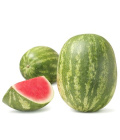 Meloun vodní bezsemenný