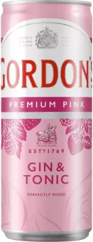 Nápoj míchaný Gin & Tonic Gordon's