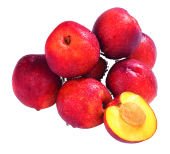 Nektarinky Česká farma