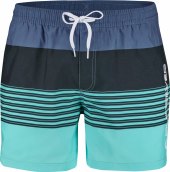 Pánské koupací šortky - kraťasy Quiksilver