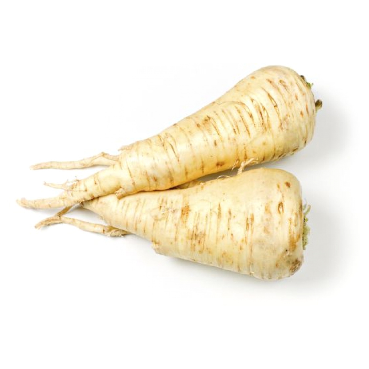 Pastinák levně | Kupi.cz