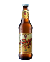 Pivo světlé výčepní Třeboňské Bohemia Regent