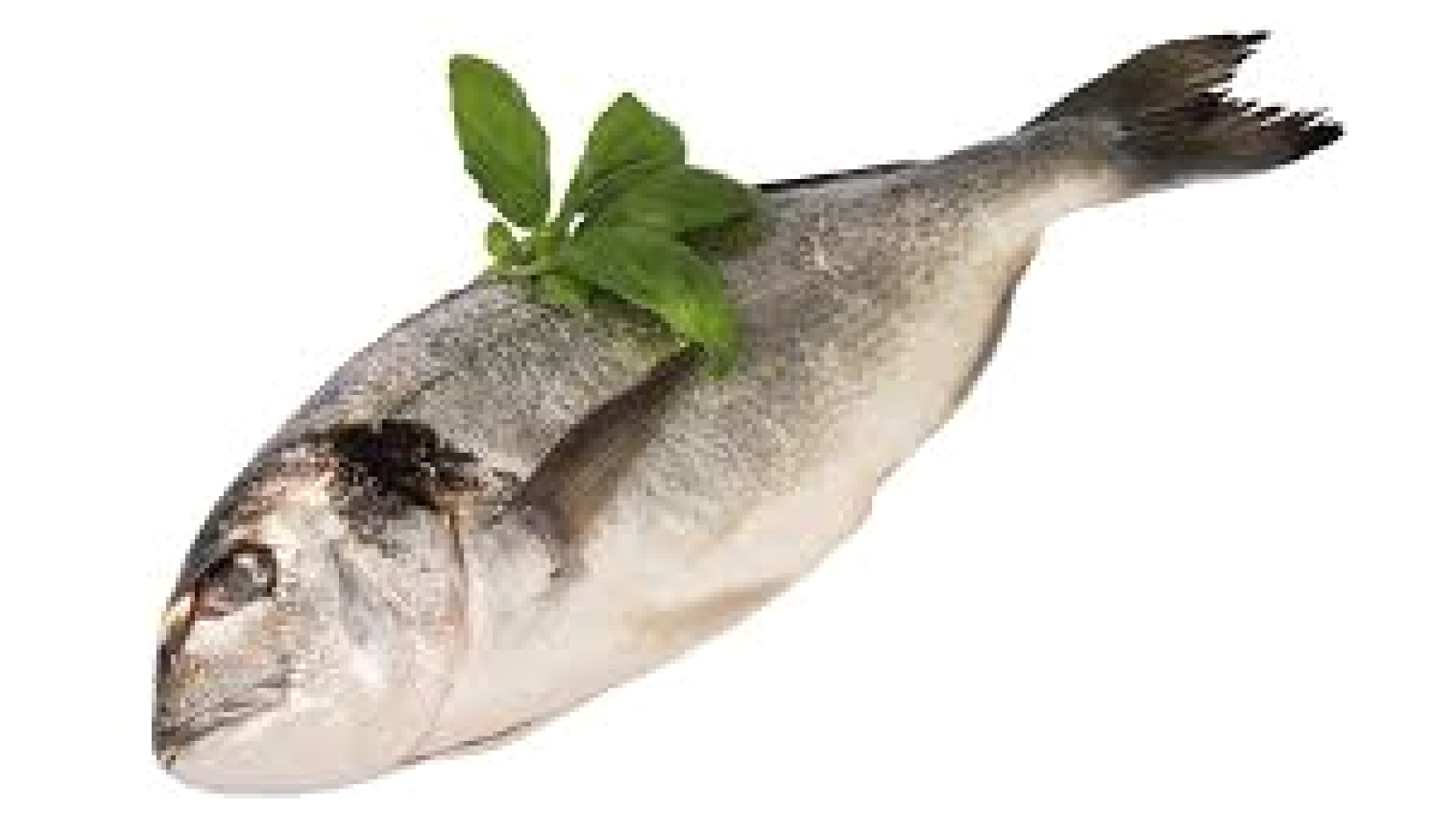 Pražma zlatá kuchaná levně | Kupi.cz