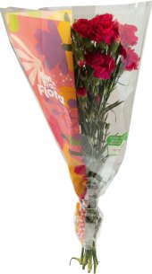 Řezané karafiáty Flora Billa Bonvia