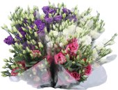 Řezaný Lisianthus