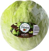 Salát ledový Albert