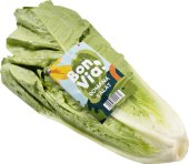 Salát římský Billa Bonvia