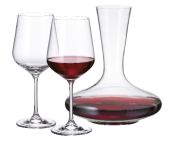 Set Karafa a sklenice na víno