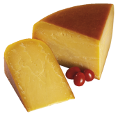 Sýr Gouda stará 48%