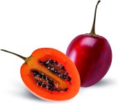 Tamarillo