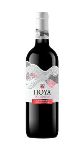 Víno Cabernet Sauvignon Hoya De Cadenas Vicente Gandia