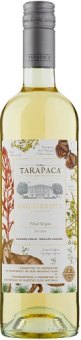 Víno Pinot Grigio Viňa Biodiversity Tarapaca