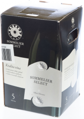 Víno Ryzlink rýnský Sommelier Select - bag in box