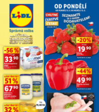 Akční leták Lidl  od pondělí - Týden značkových slev