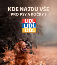 Akční leták Lidl  - Vše pro vaše psí a kočičí mazlíčky