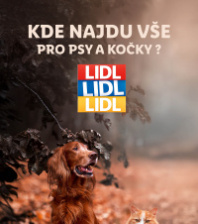 Akční leták Lidl  - Vše pro vaše psí a kočičí mazlíčky