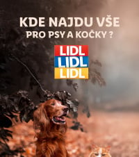 Akční leták Lidl  - Vše pro vaše psí a kočičí mazlíčky